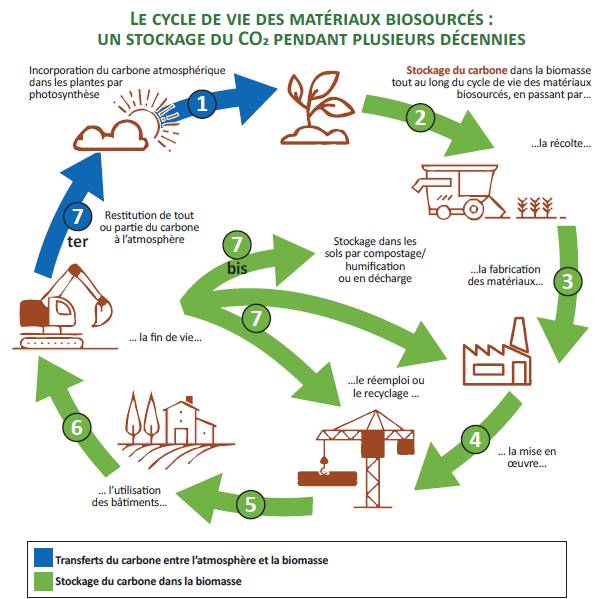Schéma du cycle de vie des matériaux biosourcés d’origine végétale