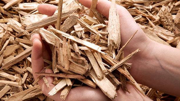 La chaudiere biomasse est-elle un systeme de chauffage economique ?